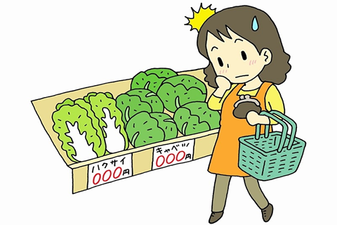 葉物野菜が..