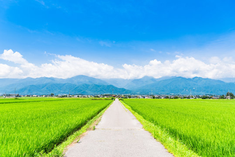 夏の影...