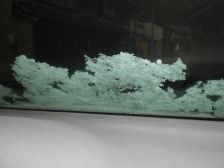 車のフロントガラスに・・雪(＠_＠;)