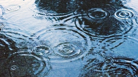 梅雨入り～～☔