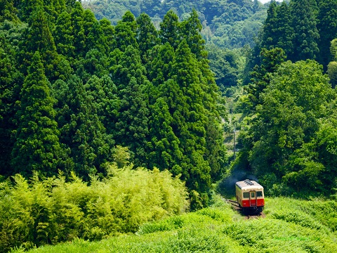 ５月も終わり..