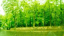 にわか雨///