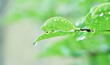 雨/////