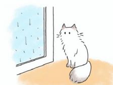 台風13号～．．．
