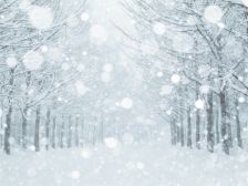 積雪///・・