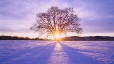 今年はWhite Christmas*