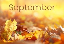 9月～＊