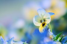 本格的な冬に向けて！