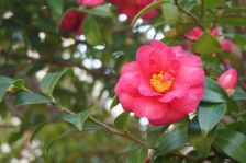 本格的な冬に向けて！