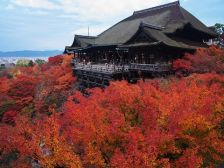 清水寺★夜はライトアップされて。。↓　　↓