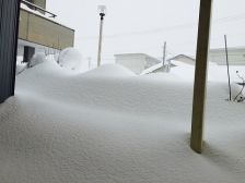 37年ぶりの記録的豪雪(;・∀・)