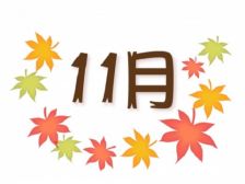 11月です＊