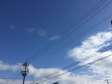 今日も晴れ!あったか～ぃ　(^^)/