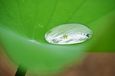 【雨の日】を楽しむ♪