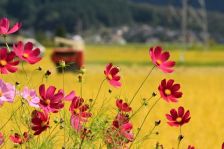 千葉県..台風災害は...