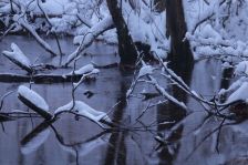 庚申の日 ～R4.1.7～