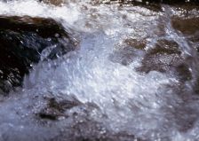 庚申の日 ～R4.1.7～