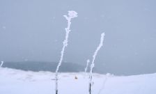 明日1/20は大寒！!