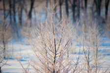 今朝..1番の寒さ!!