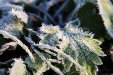 今朝..1番の寒さ!!