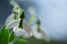 春にむかって＊