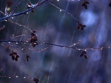 春の彼岸入り・・