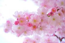 春休み＊