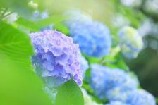 夏にむけて～