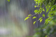 大雨警報/////